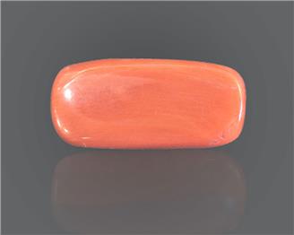 Natural Coral  7.83RTS-27531